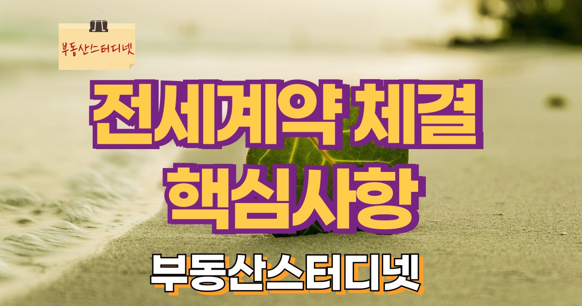 전세계약 유의사항
